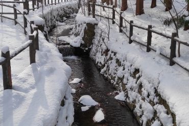 Img 20211222 102846