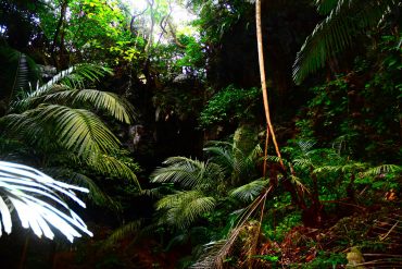 Img 20220102 wa0089