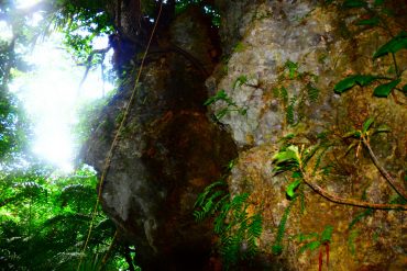 Img 20220102 wa0094